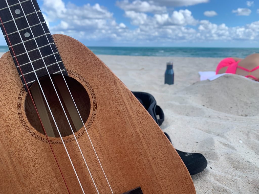 Small Instruments to Travel With Pic