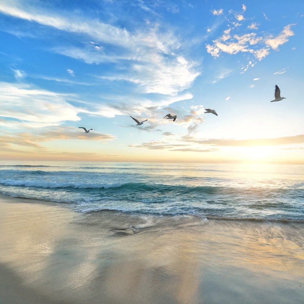 Beach Quotes Feature Photo